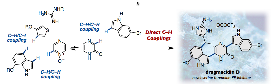 Dragmacidin D